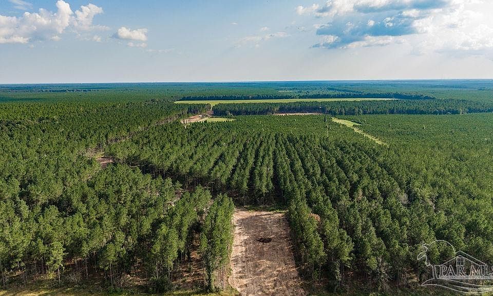 1st image of LOT 91 Posie Forest Rd