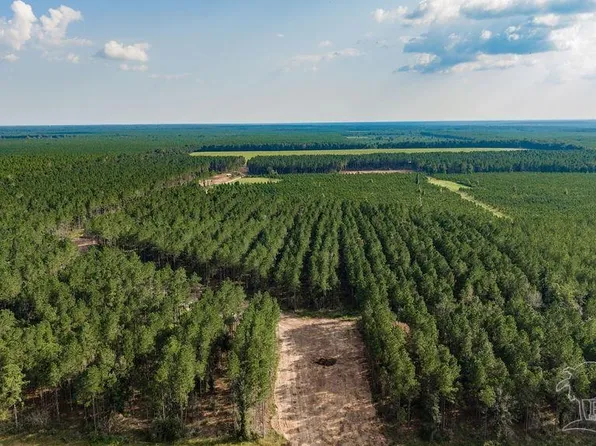 LOT 91 Posie Forest Rd, Milton, FL 32570