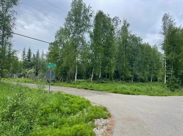 Nhn Benji Ct, North Pole, AK 99705