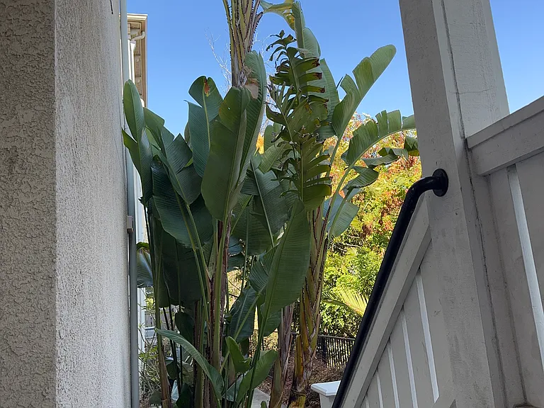 1084 Cottage Ln — Photo 3