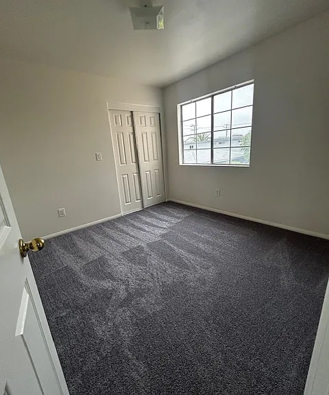 1bed