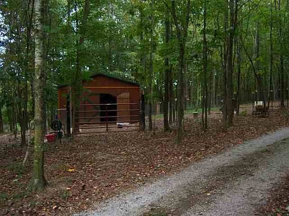 5th image of 160 Duke Ln