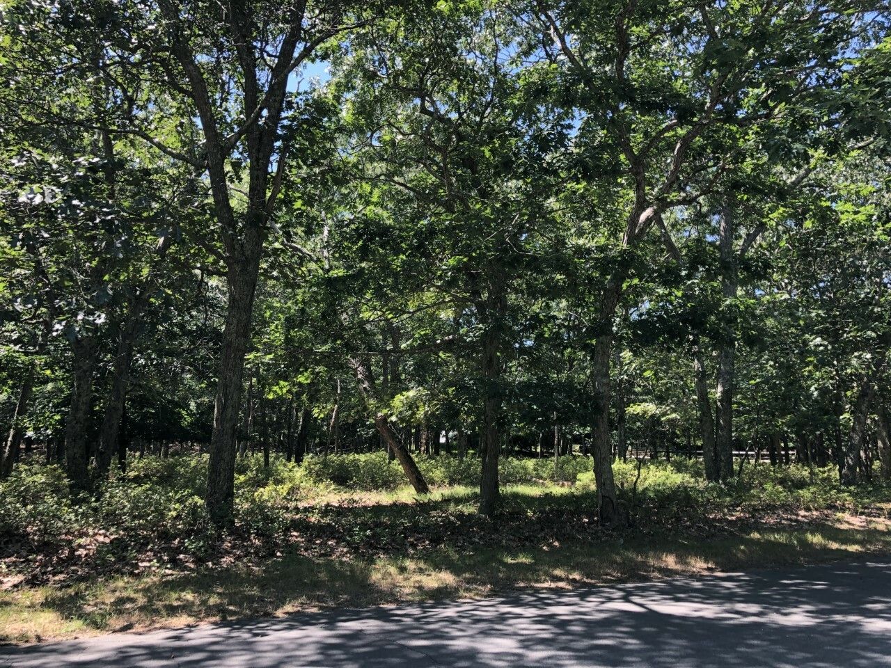 140 Talmage Farm Ln in East Hampton Out East