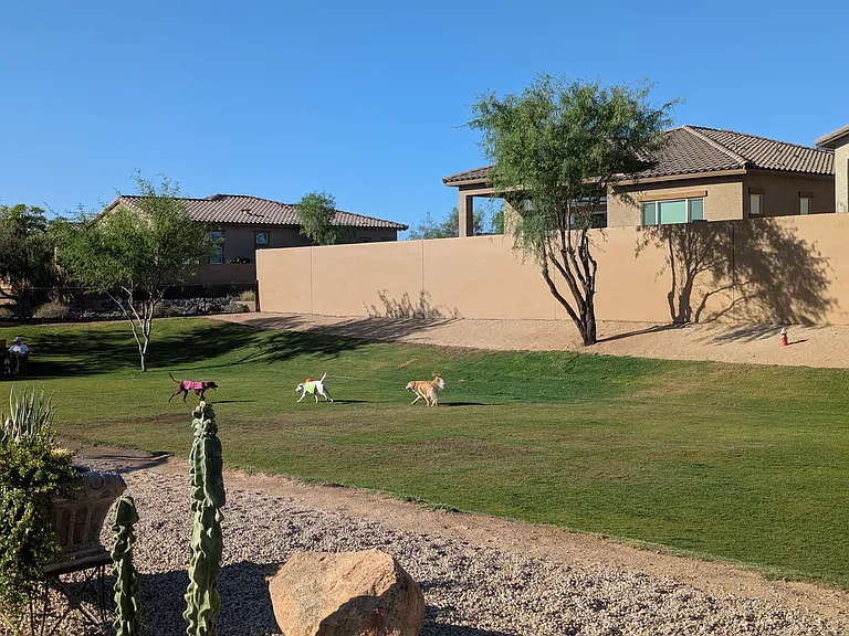 18709 E Blue Sky Dr — Photo 85