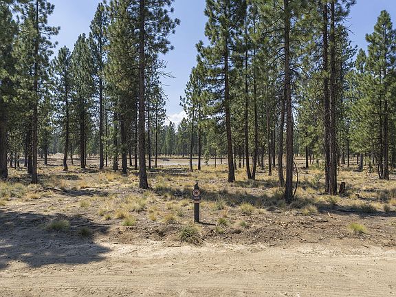 3rd image of 56672 Red Bear Ln #555