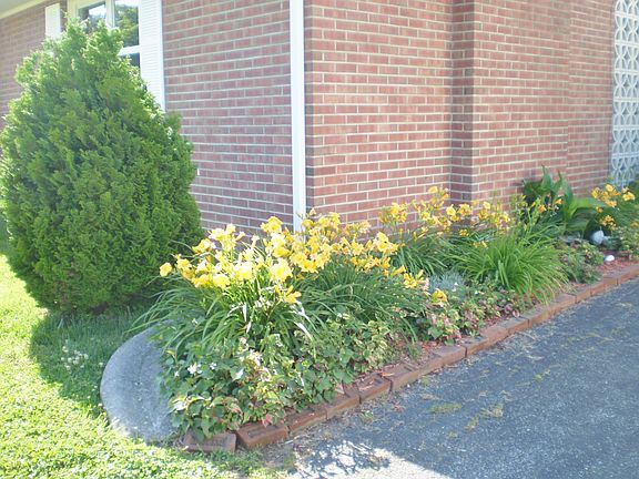 Side of Driveway