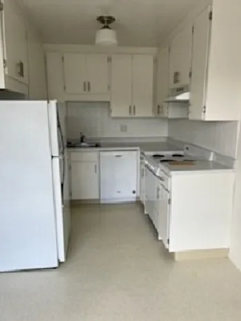 Kitchen with electric range, range hood, dishwasher and refrigerator.