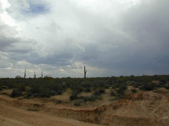 1st image of 0 E JAVELINA Drive