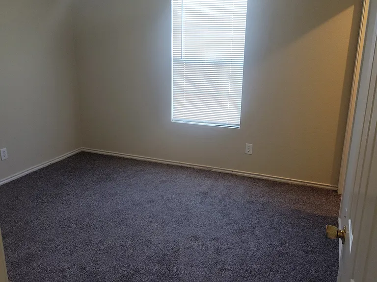 3007 Quiet Plain Dr — Photo 22