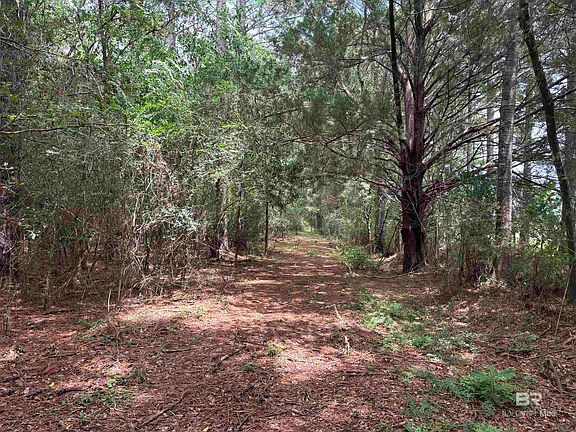 2nd image of 9 County Road 48