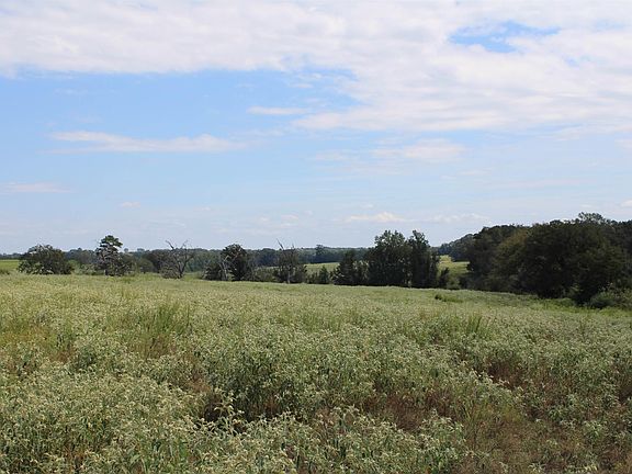 4th image of County Road 4619 Tract 6 & 12