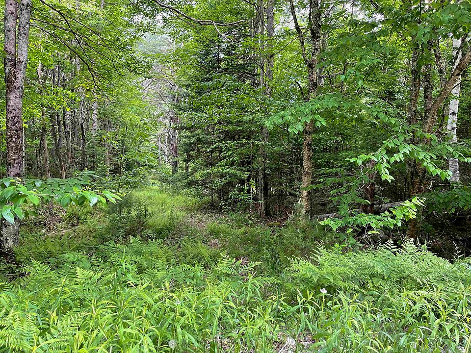 2nd image of 77 Berkshire Road