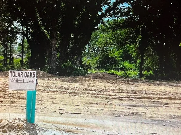 453 Peace Lily Way, Tolar, TX 76476