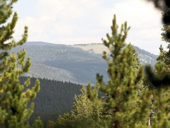 4th image of 141 Gold Trail Cutoff