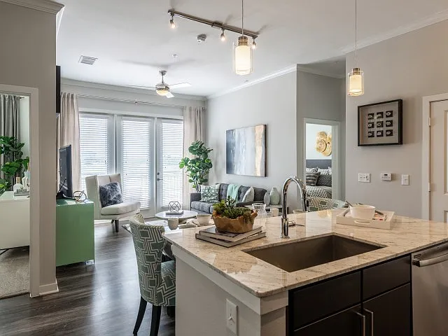 Overture Sugar Land 55+ Apartment Homes — Photo 35