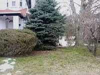 1st image of 884 Central Ave