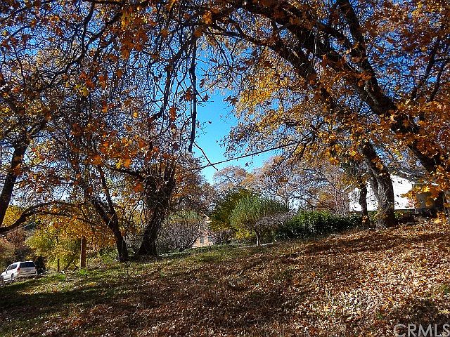 1st image of 39413 Clearwater Dr