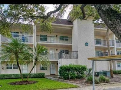 870 Virginia St APT 305, Dunedin, FL, 34698