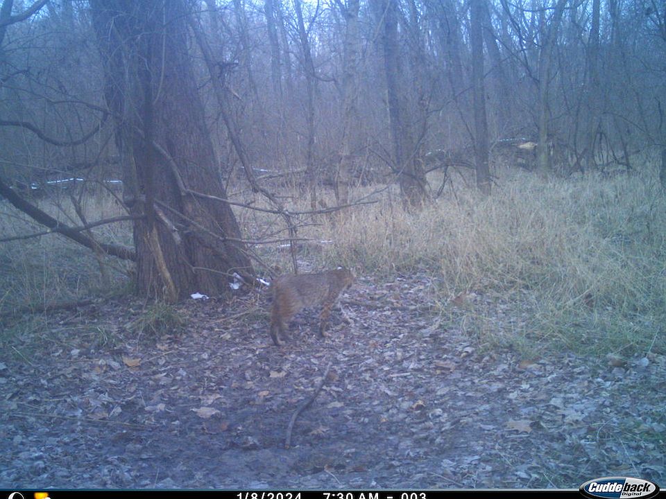 1st image of 12481 Timber Rdg