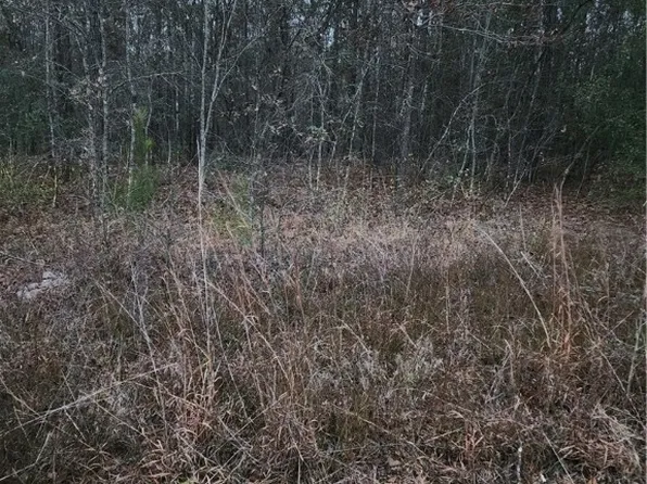 63 Kowaliga Rd, Elmore, AL 36025