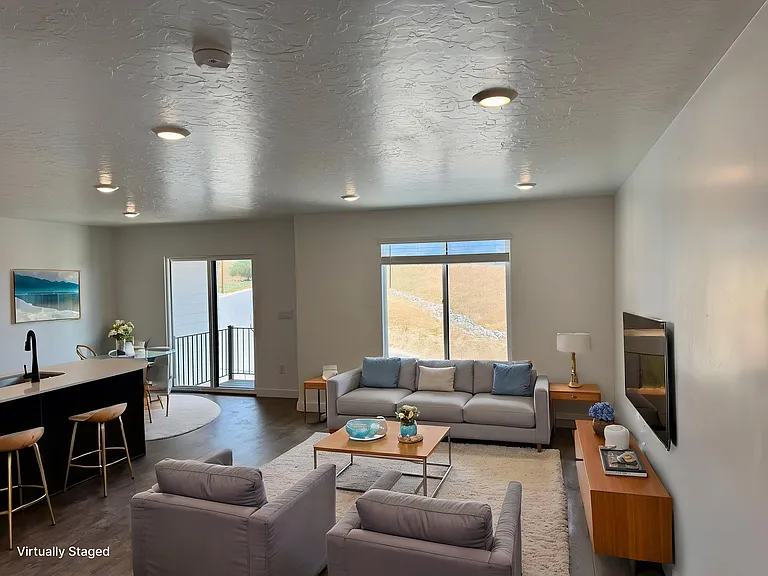 Living Room (virtually staged)
