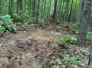 LOT 67 Panther Falls Rd, Wilder, TN 38589