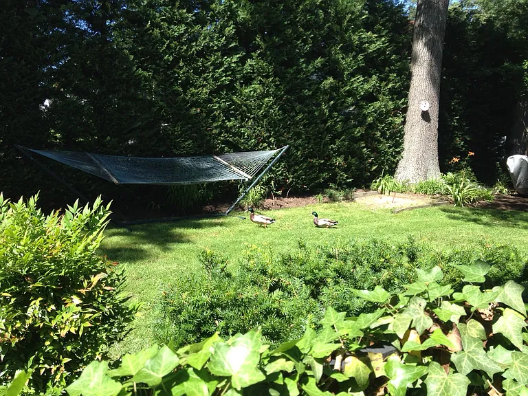 996 Elizabeth Dr — Photo 9