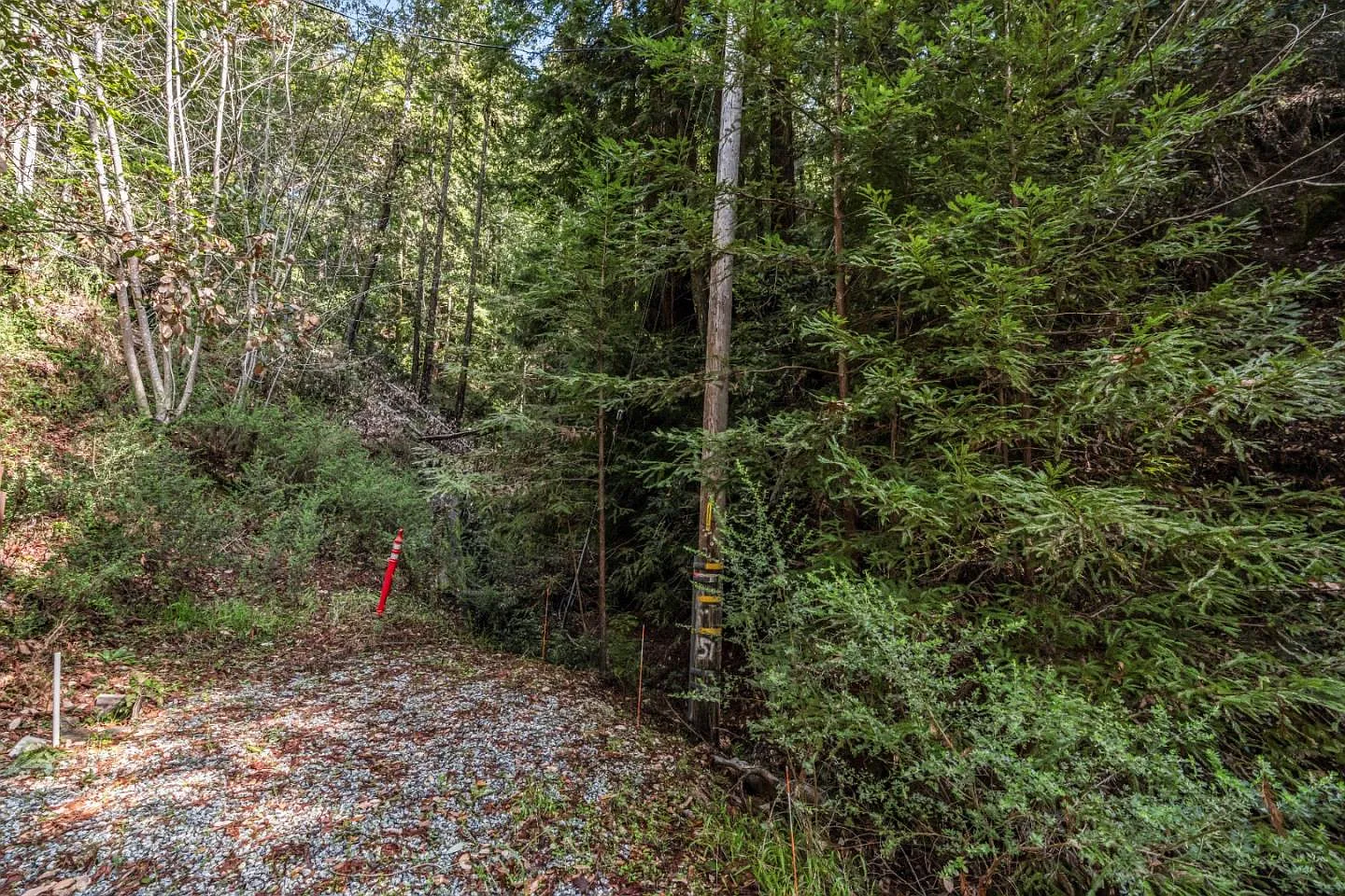 LOT 18 Antler Way photo 1