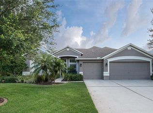 6113 Heroncrest Ct, Lithia, FL 33547