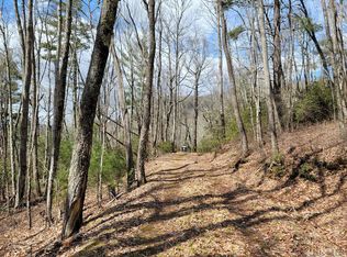 LOT-10D Heather View Ln, Cashiers, NC 28774