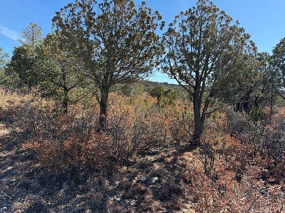 2nd image of Milton Rd