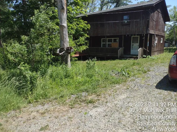 9804 Mohawk Trl, Hammondsport, NY 14840