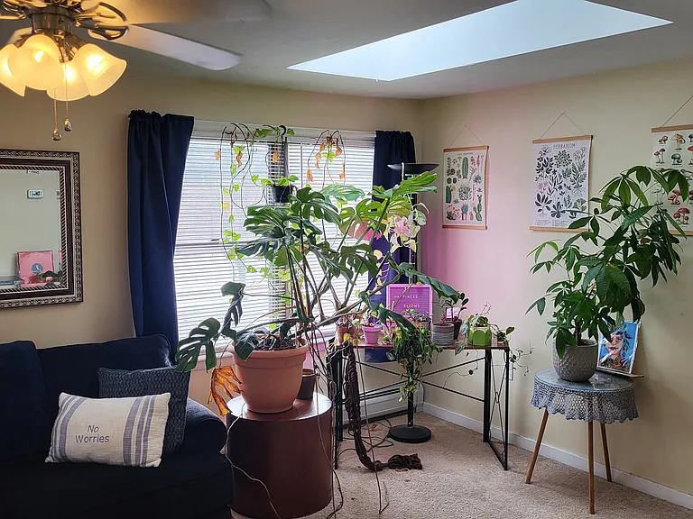 167 Elm St #2 — Photo 2