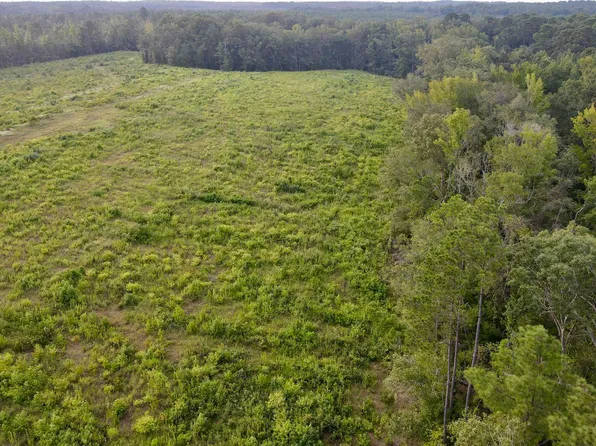 49 Miller Country #79, Doddridge, AR 71834