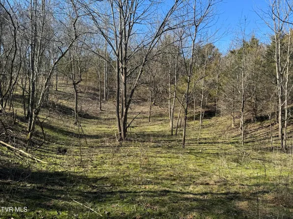 545 E Stagecoach Rd, Greeneville, TN 37743