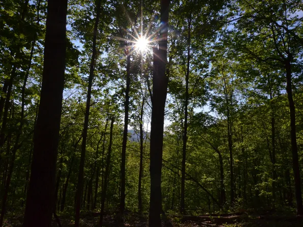 101 Stone Fox Ln, Ravenna, KY 40472