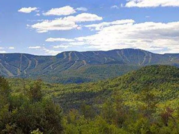 62-3 Bear River Road #3, Newry, ME 04261