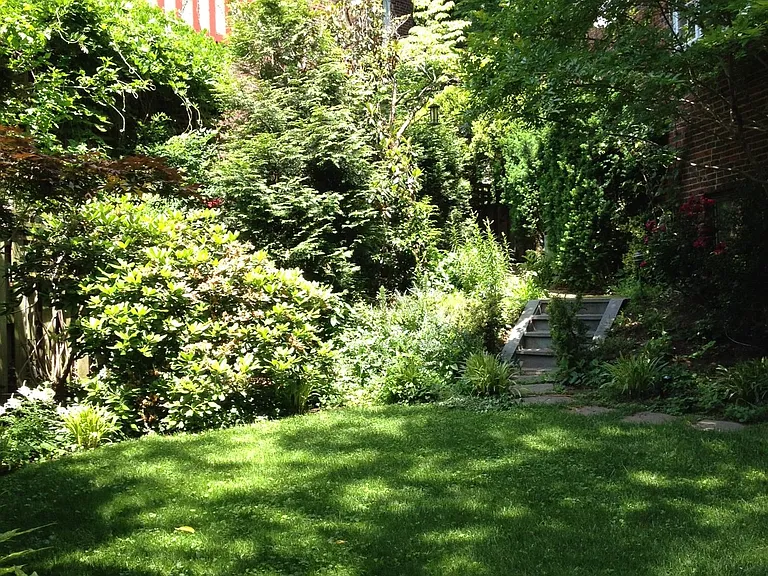 Back yard.