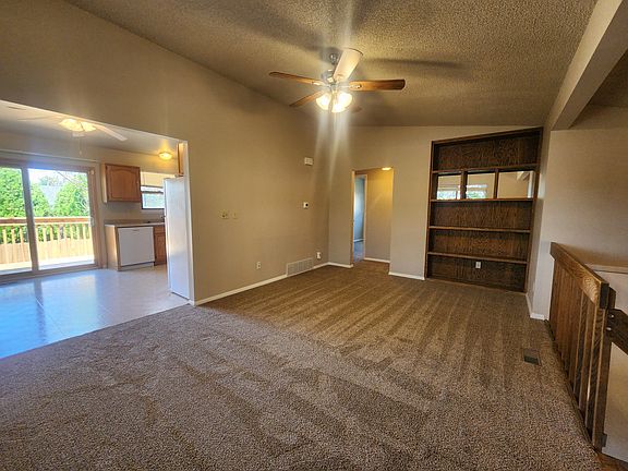 982_daffodil_a_08142024