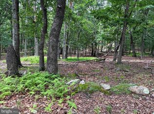 Sub parcels of Lt 27 &amp BOONEDOCK DRIVE, UPPER TRACT, WV 26866