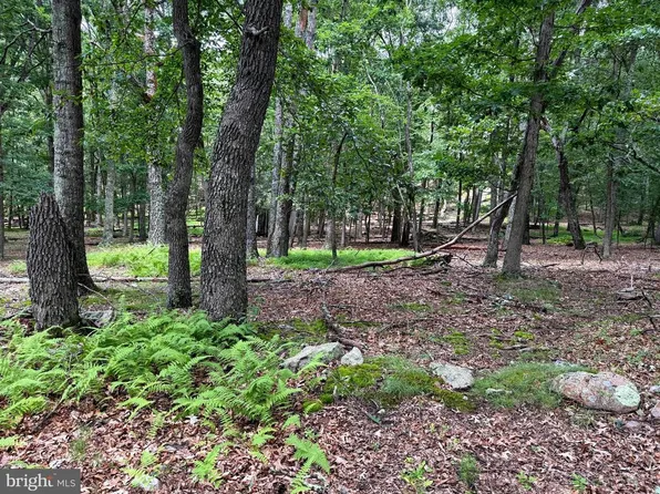 Lots 27 &amp; 28 BOONEDOCK DRIVE, UPPER TRACT, WV 26866