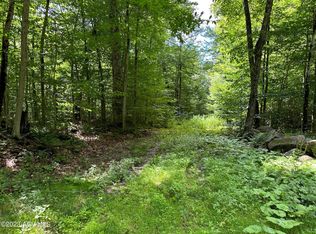 66-1-5.1 Fulton House Spur #2, Old Forge, NY 13420