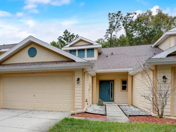 20223 Vintage Oaks Pl, Tampa, FL 33647