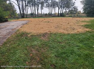 1009 E Webb Dr, Dewitt, MI 48820