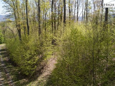 TBD Olde Forest #57 Lane, Banner Elk, NC, 28604