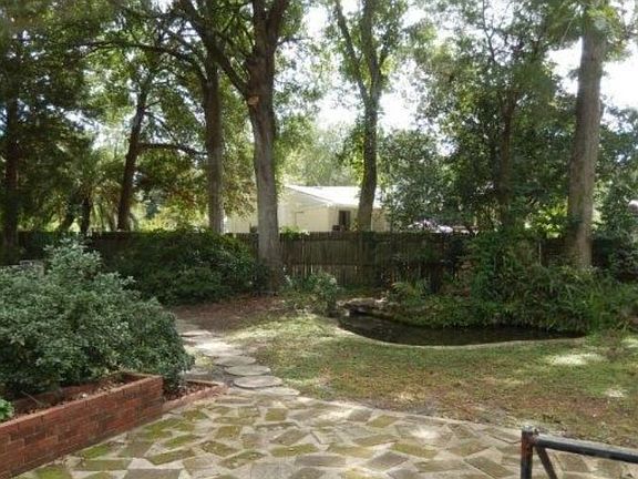 Part of the Back Yard