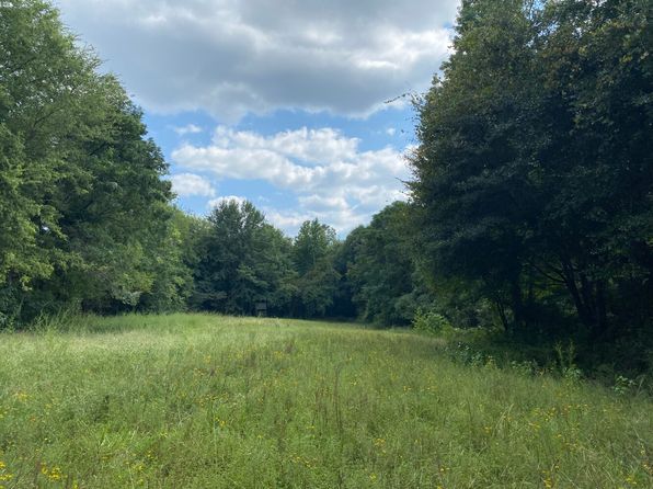 0 Persimmon Dr, Gilbertown, AL 36908