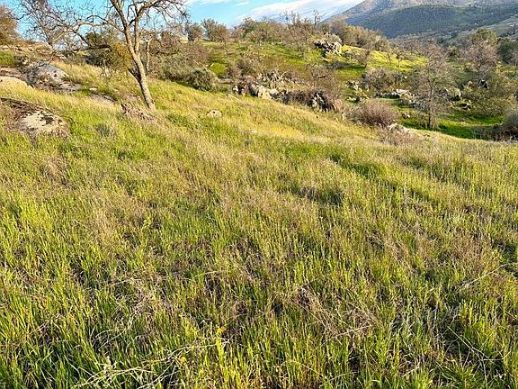 5th image of 344 Squaw Valley Rd