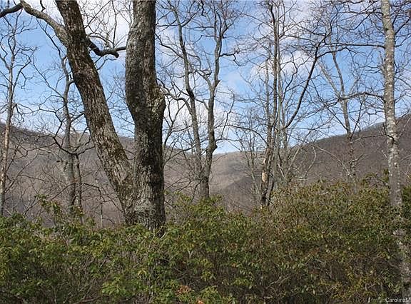 4th image of 1 Orchard Knob Ln #1008