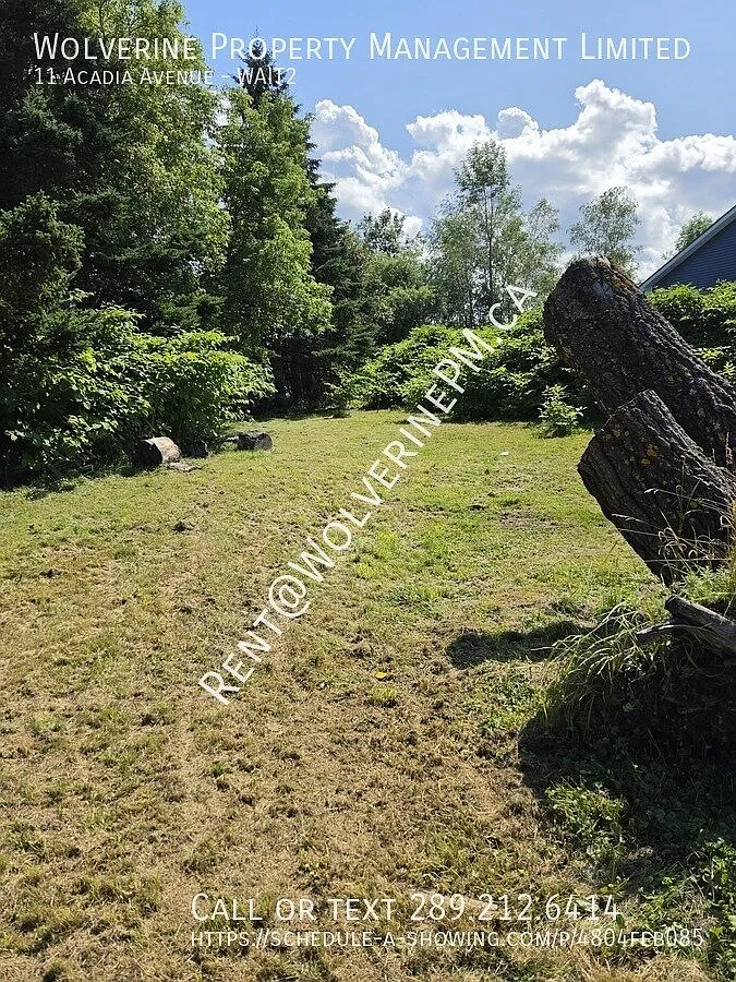 1 bed, $1,295 — Photo 4